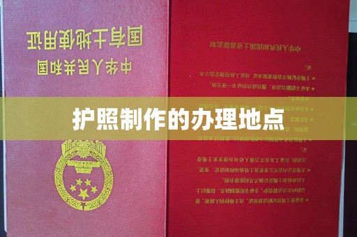 洛南护照制作的办理地点